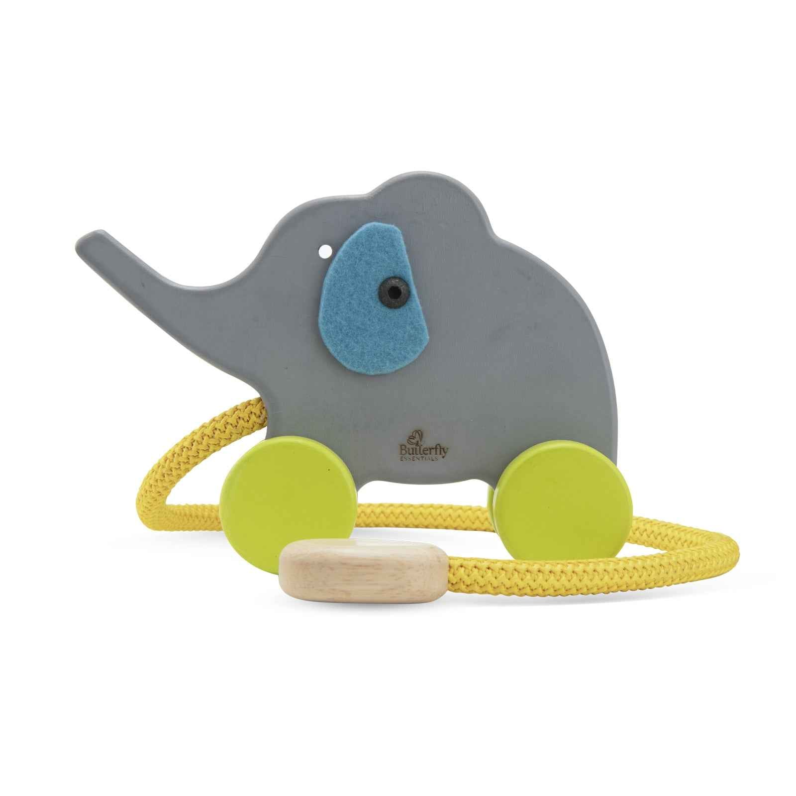 Elephant With Rope